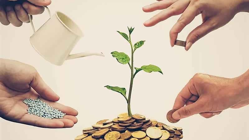 تعاونیها در گلستان جان میگیرند؛ اشتغال با گامهای محتاط
