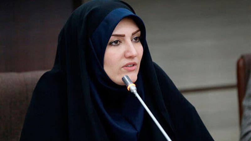راهاندازی ۶ کمیته تخصصی برای تقویت فعالیت سمنها در قزوین