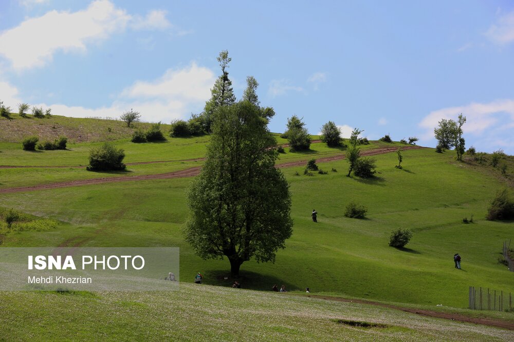 ایران زیباست؛ رودبار طبیعت گمشده‌ی گیلان