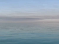 آبگیری جالب هواپیمای اطفای حریق از آب‌های خلیج فارس