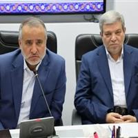 بستر اشتغال ۱۵۰ هزار مددجوی بهزیستی خراسان جنوبی فراهم می‌شود