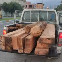 کشف محموله یک تنی چوب قاچاق در کبودراهنگ