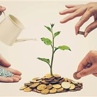 تعاونی‌ها در گلستان جان می‌گیرند؛ اشتغال با گام‌های محتاط