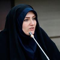 راه‌اندازی ۶ کمیته تخصصی برای تقویت فعالیت سمن‌ها در قزوین