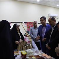 بانوان سرپرست خانوار در دشتی حمایت می شوند