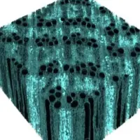 ابداع چوبی به قدرتمندی فولاد