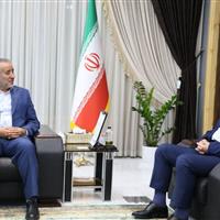 افزایش نرخ معلولیت در خراسان جنوبی