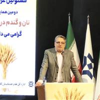 گندم‌کاری در ایران اوج می‌گیرد؛ خرید تضمینی با ۱۲۰۰ مرکز فعال