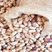 قیمت منطقی هرکیلو لوبیا چیتی چند؟