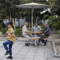 پیری جمعیت، تهدیدی برای آینده گلستان؛ قصه‌ای که باید بازنویسی شود