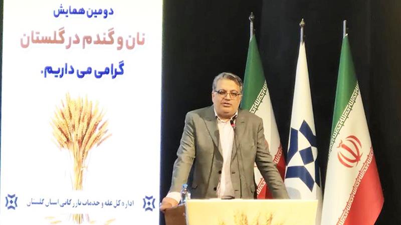 گندمکاری در ایران اوج میگیرد؛ خرید تضمینی با ۱۲۰۰ مرکز فعال