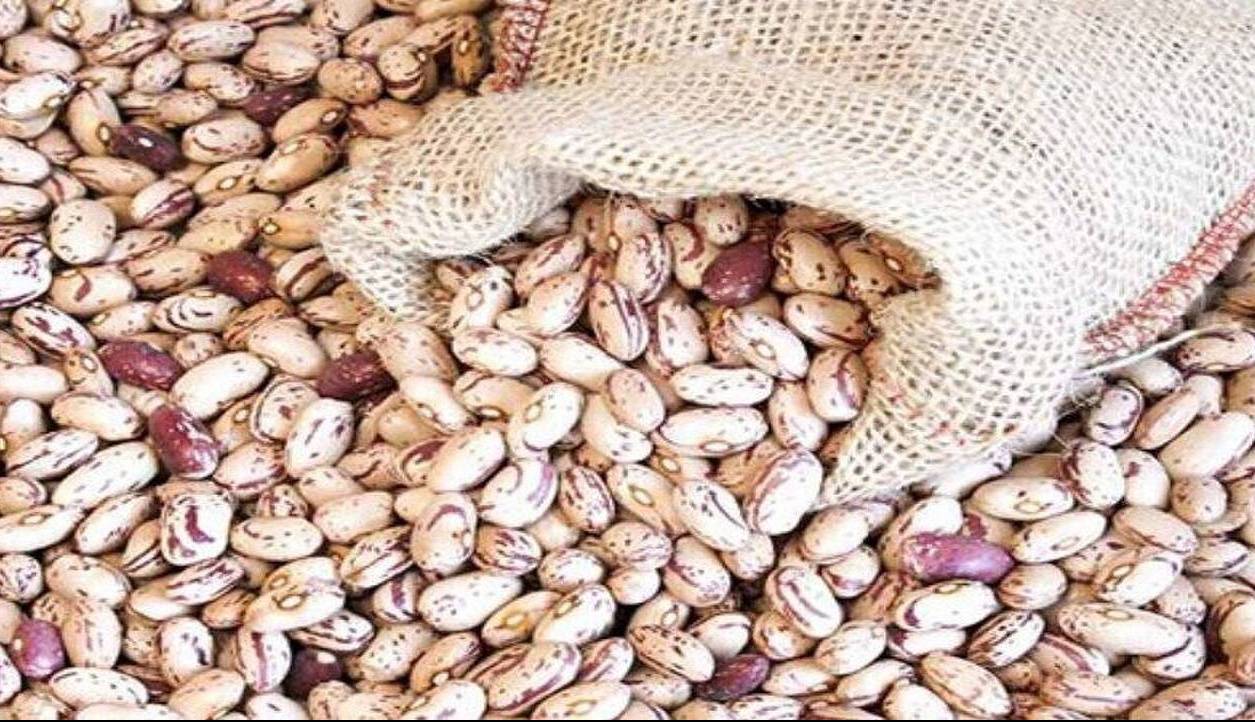 قیمت منطقی هرکیلو لوبیا چیتی چند؟