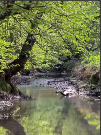 طبیعت بهاری سیاهکل گیلان