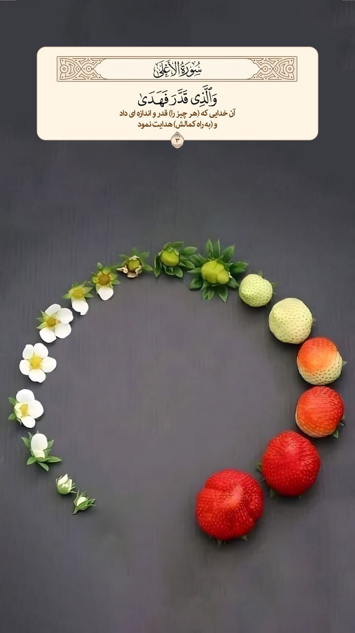 طرح/ خدا هرچیز را اندازه‌ای داد