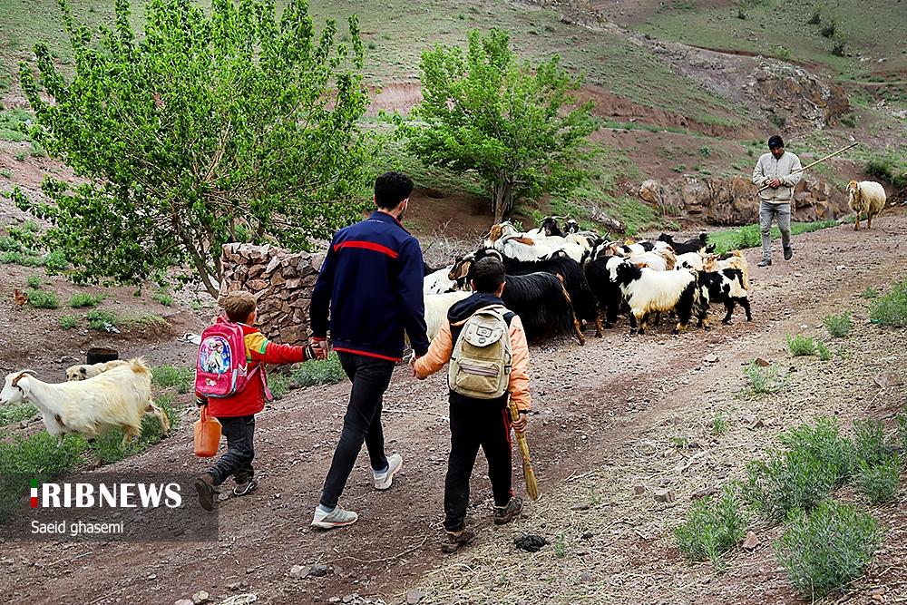 عکس/ به بهانه روز معلم؛ آموزش در دل روستای دورافتاده