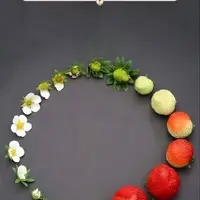 طرح/ خدا هرچیز را اندازه‌ای داد