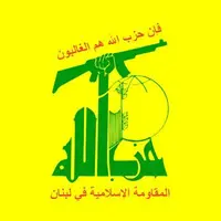 حزب‌الله حمله به کشتی حامل کمک‌های بین‌المللی انسانی برای غزه را محکوم کرد