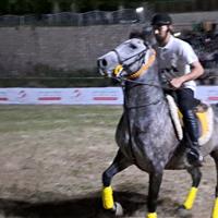 جشنواره اسب اصیل کُردی در سنندج برگزار شد