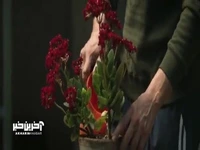 آواز زیبای محمد معتمدی برای فیلم سینمایی «صیاد»