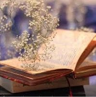 شاعرانه/برای چیدن گل، انتخاب لازم نیست
