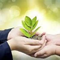 جمع آوری۲۷۳ میلیارد تومان کمک مردمی در مراکز نیکوکاری زنجان
