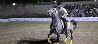 جشنواره اسب اصیل کُردی در سنندج