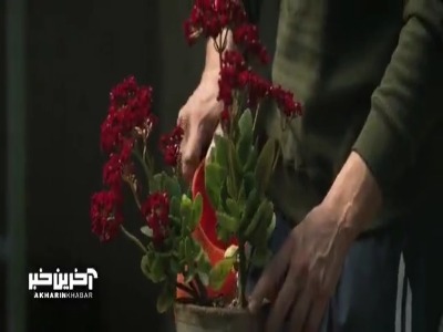 آواز زیبای محمد معتمدی برای فیلم سینمایی «صیاد»