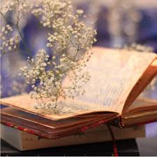 شاعرانه/برای چیدن گل، انتخاب لازم نیست