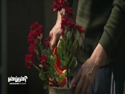 آواز زیبای محمد معتمدی برای فیلم سینمایی صیاد