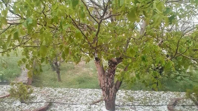 بارشهای رگباری و تگرگ زنجان را فرا میگیرد