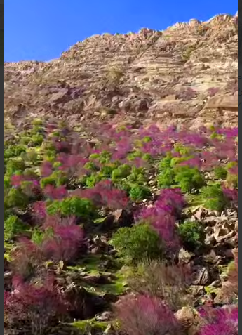 طبیعت شهرستان چگنی در لرستان باشکوه