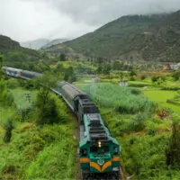 ترمز اضطراری قطار، ناجی جان عابران