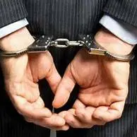 دستگیری مدیرعامل یک شرکت با 300 میلیارد تعهد ارزی ایفا نشده