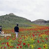 ژئو پارک «دومولی»