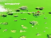 زیبایی تالاب استیل آستارا
