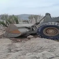 قلع و قمع نهال‌فروشی‌های غیرمجاز و فاقد شناسه در مراغه