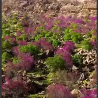 طبیعت شهرستان چگنی در لرستان باشکوه 