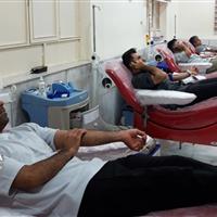 مدیرکل انتقال خون قم: ۲۶.۵ درصد اهداکنندگان خون جوانان هستند