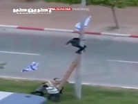 پایین کشیدن پرچم اسرائیل توسط کودکان حریدی