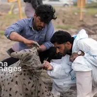 عکس/ جشنواره ملی مجسمه‌های نمکی در نهبندان