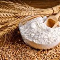 اجرای طرح توزیع هوشمند آرد روستایی در زنجان