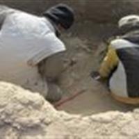 کشف ۱۱ فلزیاب و دستگیری ۵۴ متخلف در سال ۱۴۰۳