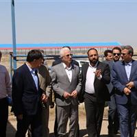 باز شدن قفل گاوداری ۱۰هزار راسی شیروان؛ فاز نخست خردادماه بهره‌برداری می‌شود