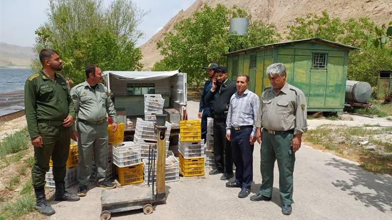 ۴۰۰ کیلوگرم ماهی صید غیرمجاز در تالاب چغاخور چهارمحال و بختیاری کشف شد
