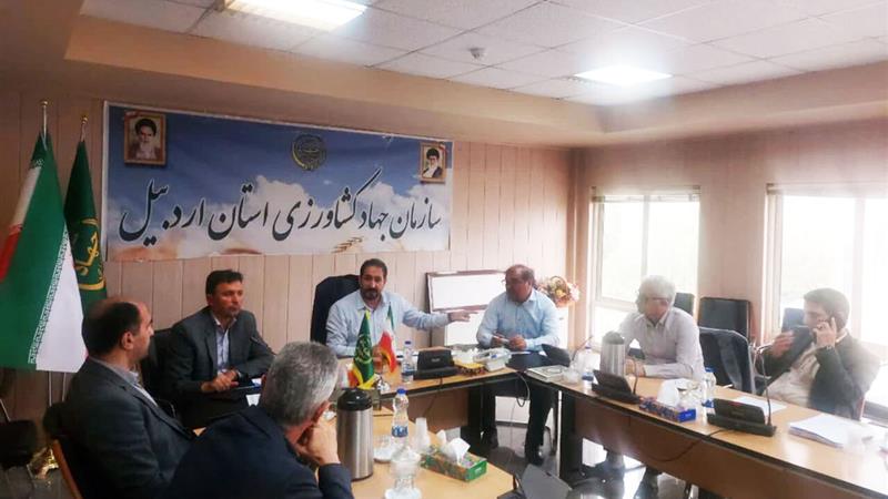کارگروهی برای بررسی مشکلات سیبزمینیکاران اردبیل تشکیل میشود
