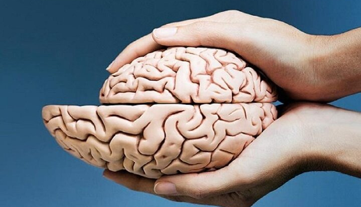 ۳ نیاز اساسی مغز