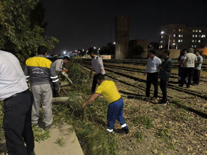سقوط ایستگاه تاکسی و درخت بهدنبال طوفان در رباطکریم