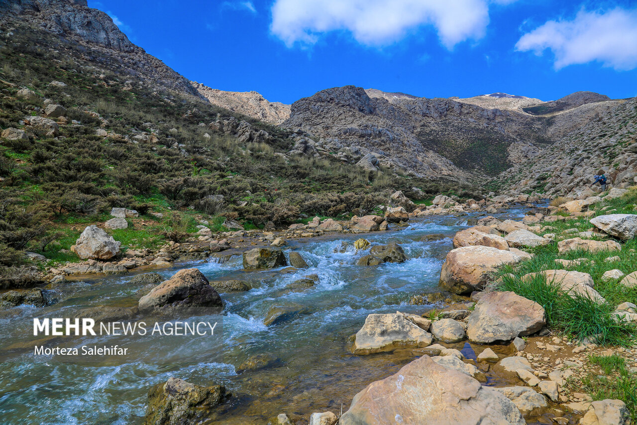 طبیعت بهاری «بیدکان» در چهارمحال و بختیاری