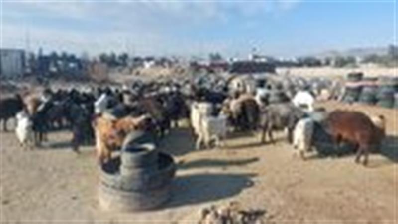 ردپای تخلف زیست محیطی در قلعه صدری قم