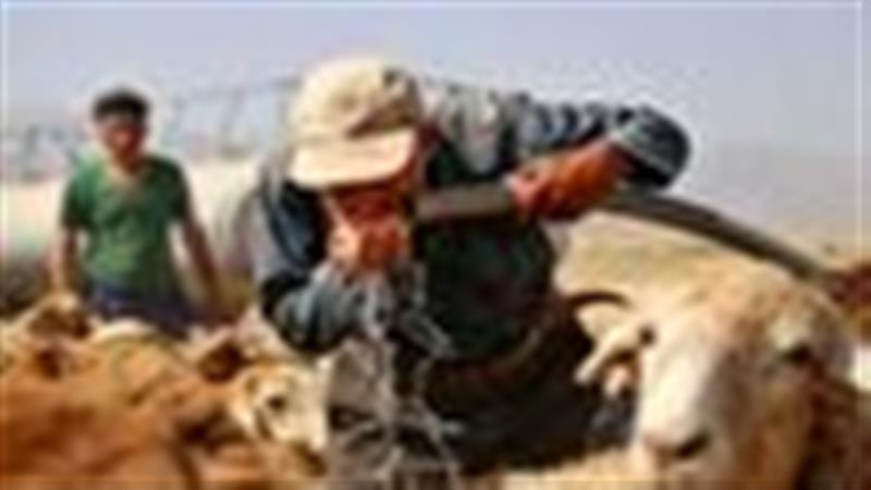 آغاز آب‌رسانی به عشایر مناطق ییلاقی فاقد آب شرب در خرم‌آباد